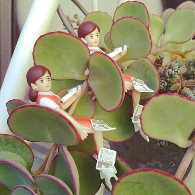 akr29さんの実例写真