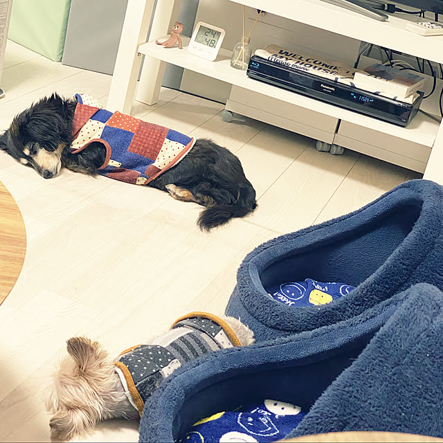 ohanaさんの実例写真