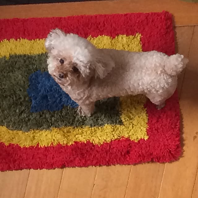 sallyponさんの実例写真