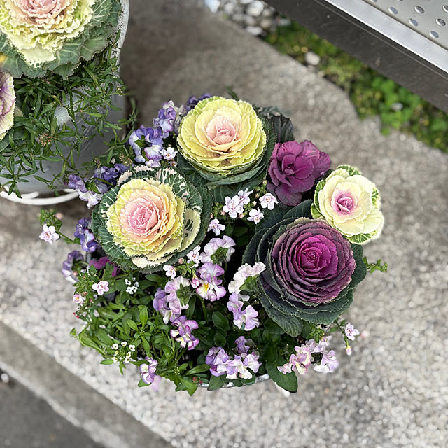 maayaさんの実例写真