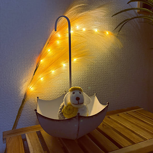 chiiさんのお部屋の写真