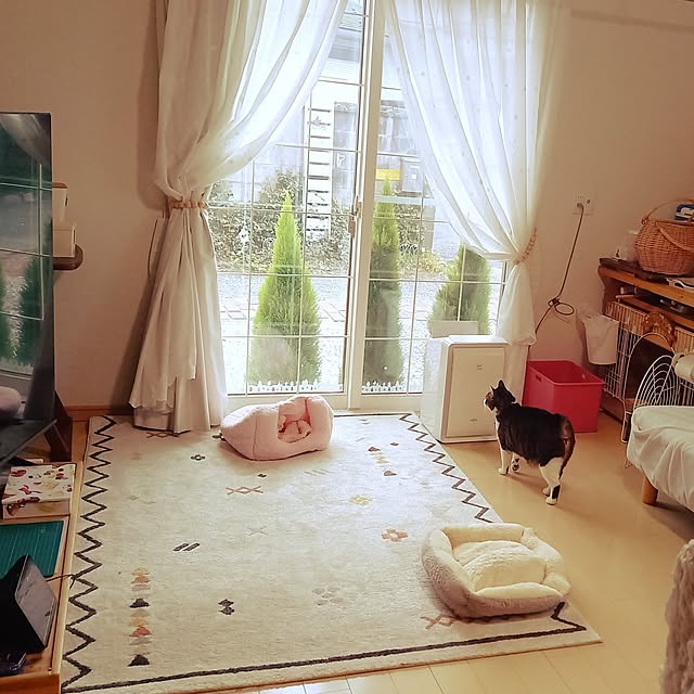 civicglさんの実例写真