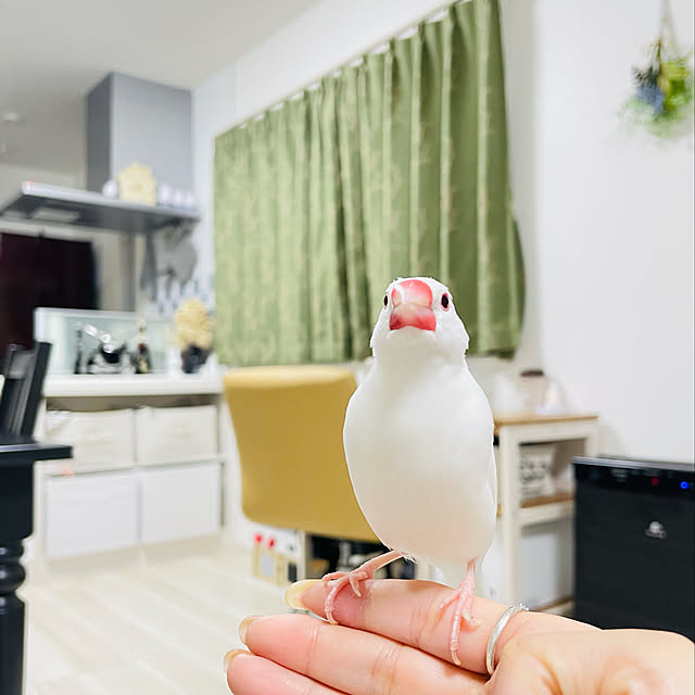 myaaaさんの実例写真