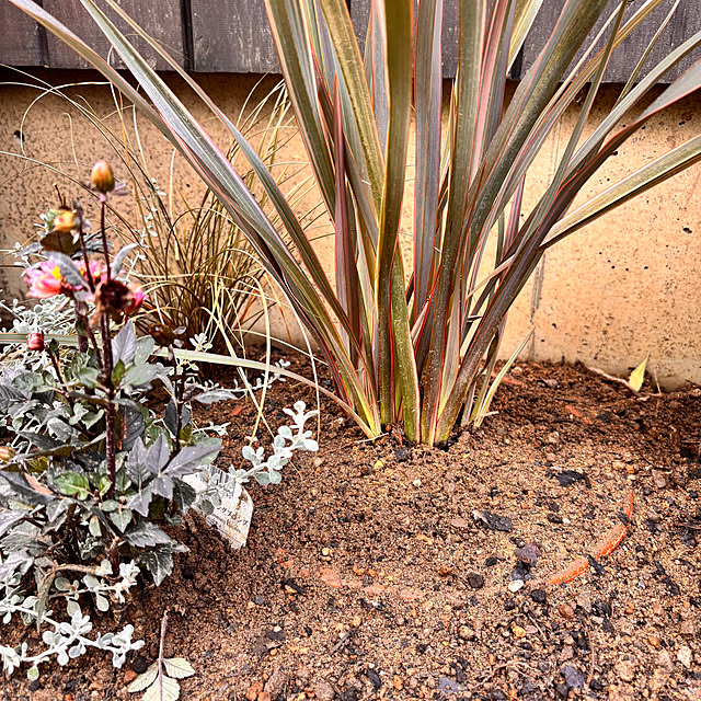 mamichopさんの部屋