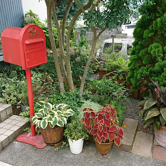 kohmarlさんの実例写真