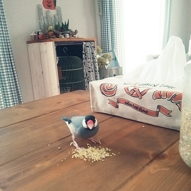 miiさんの実例写真