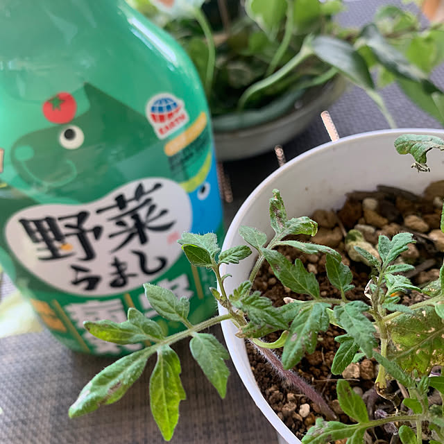 Aqettyさんの部屋