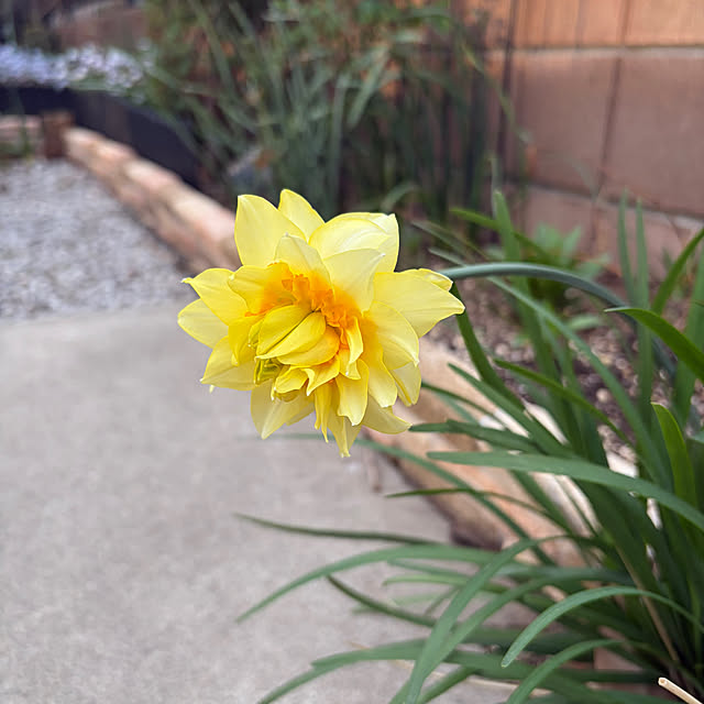 ronronさんの部屋