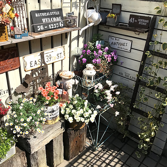 nokoさんの実例写真