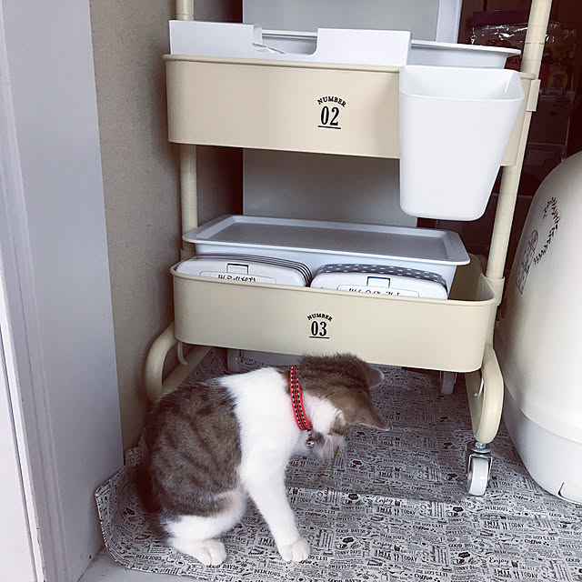mya___kさんの実例写真