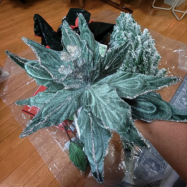 mariaさんの部屋