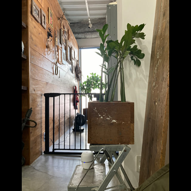 chairgreenさんの部屋