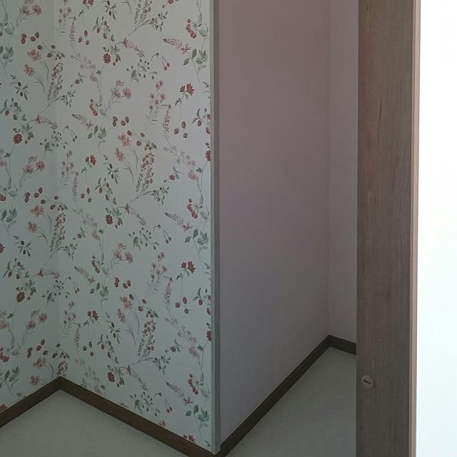 壁/天井/洗面所のインテリア実例 - 2016-08-08 18:32:43