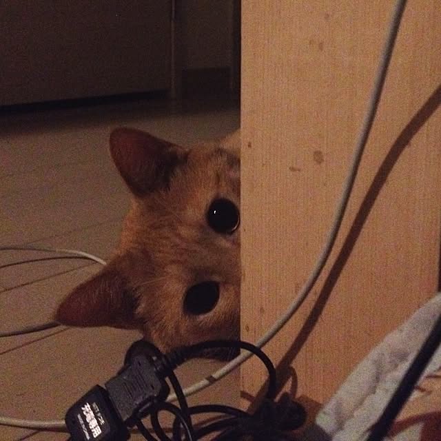 chamacoさんの実例写真