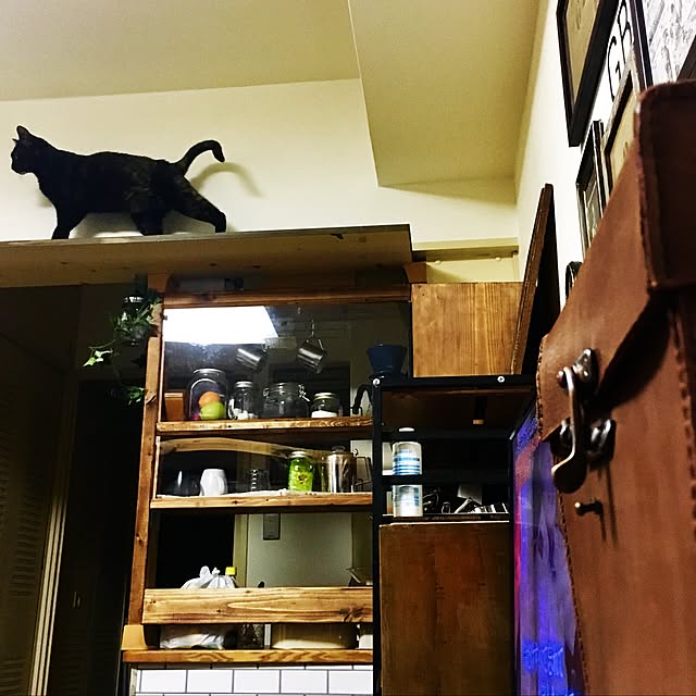 Gouさんの実例写真