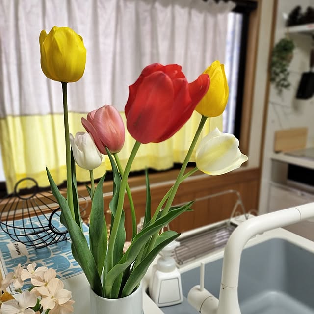 mash-room.aeさんの部屋