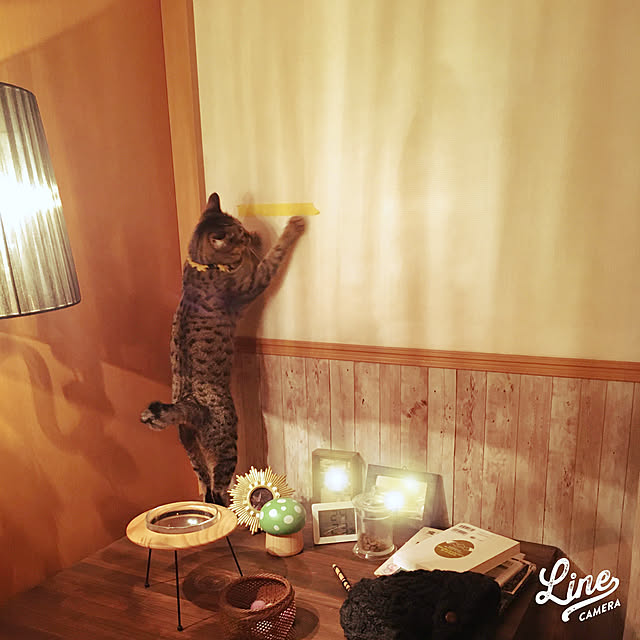 Mさんの実例写真