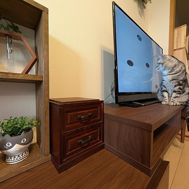 lovepeaceさんの実例写真