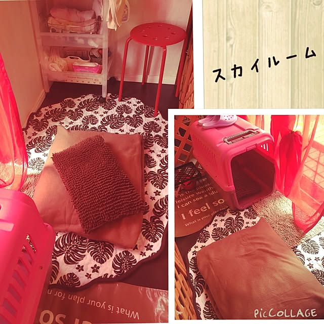shibaさんの実例写真