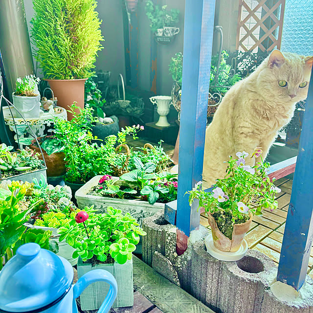 naokoさんの部屋