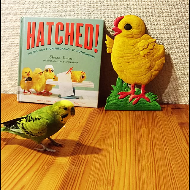 arigato_ochikuwachanさんの実例写真
