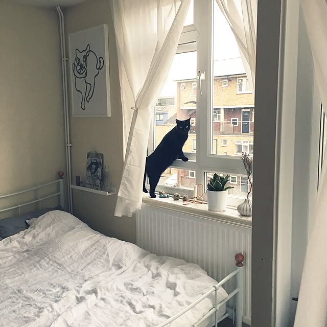 awachan77さんの実例写真