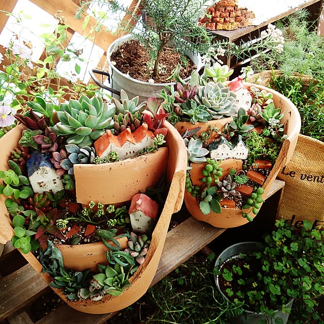 多肉植物 ミニチュアガーデンのおしゃれなアレンジ・飾り方の 多肉植物 ミニチュアガーデンのおしゃれなアレンジ・飾り方の