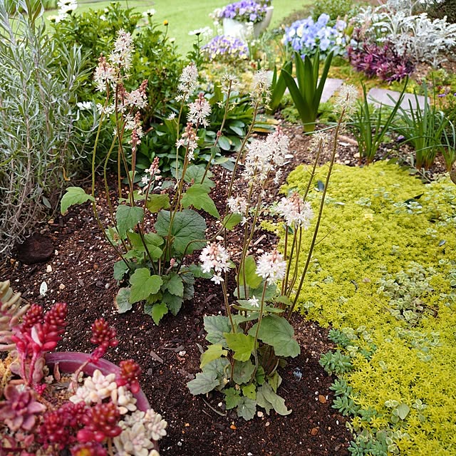 coconathuさんの実例写真