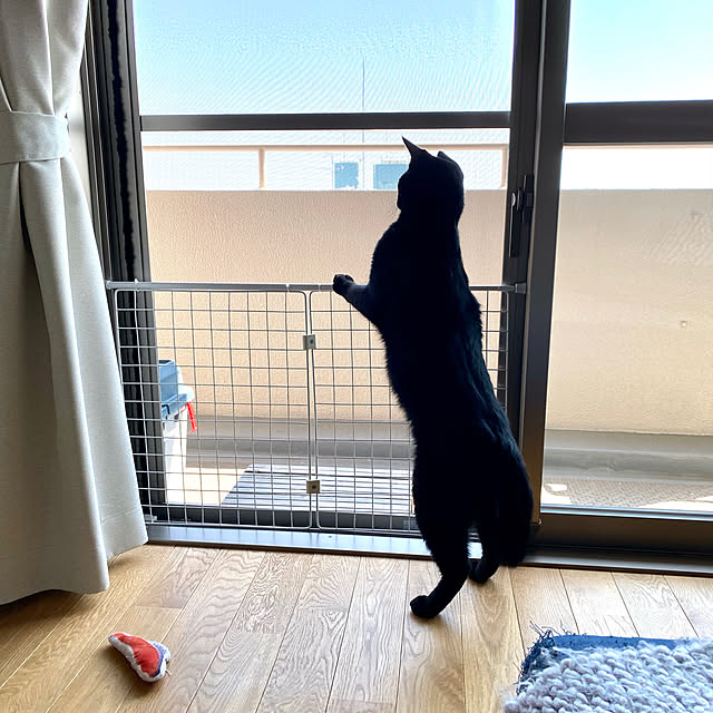 s.uraさんの実例写真