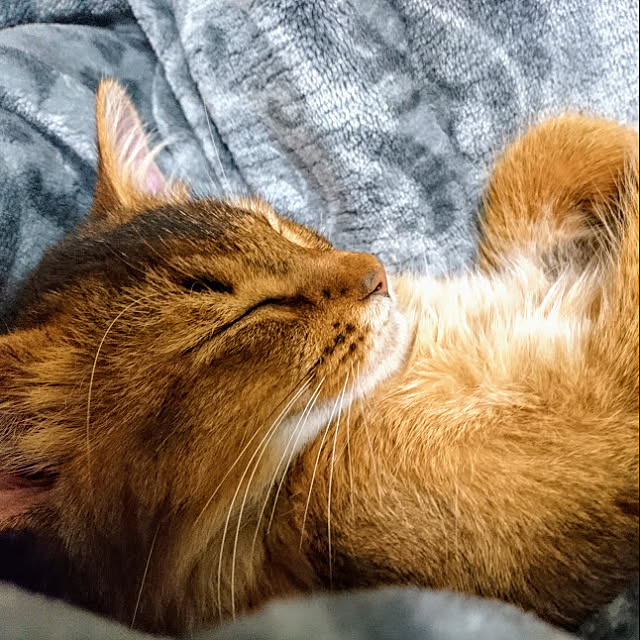 malmさんの実例写真