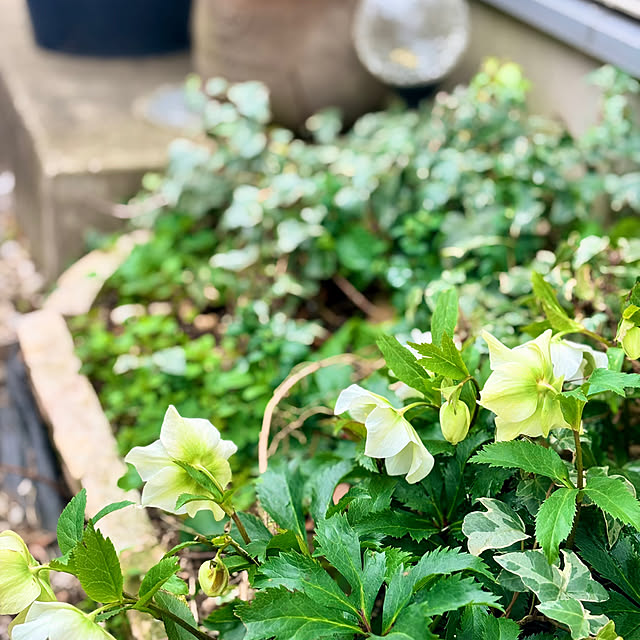 sagocchiさんの部屋