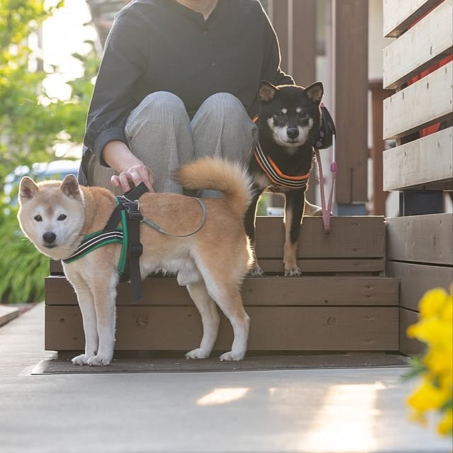 ponhanaさんの実例写真