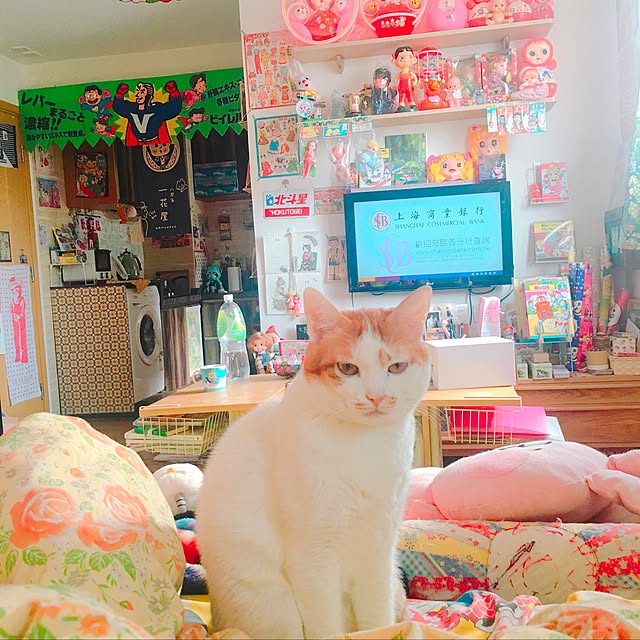 Karenさんの実例写真