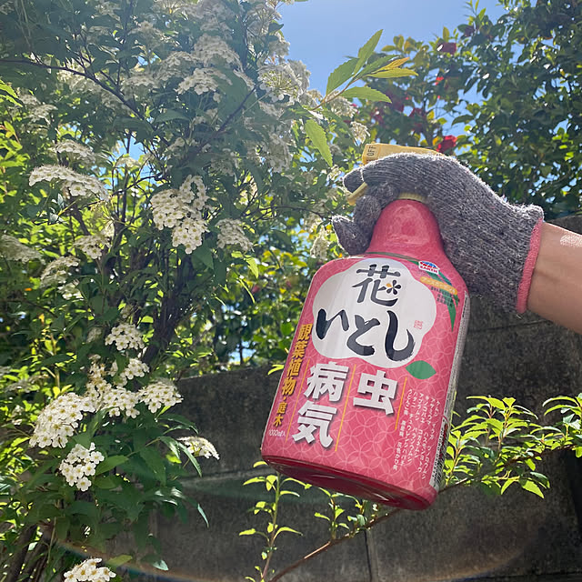 mamiさんの部屋