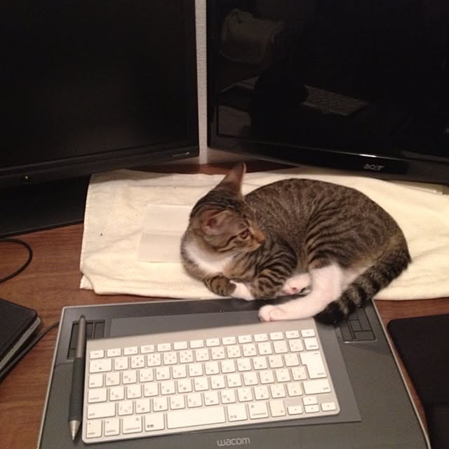 qumicotさんの実例写真