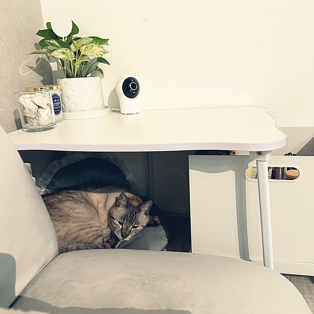 mieさんの部屋
