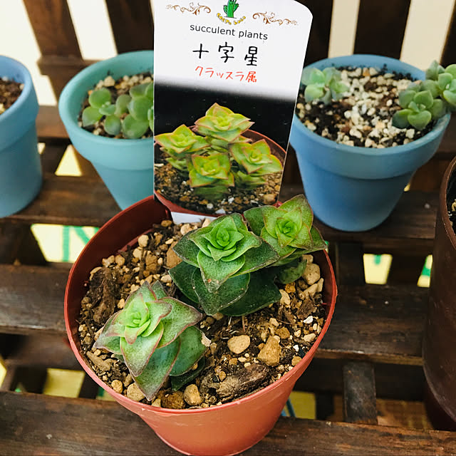 seiさんの実例写真