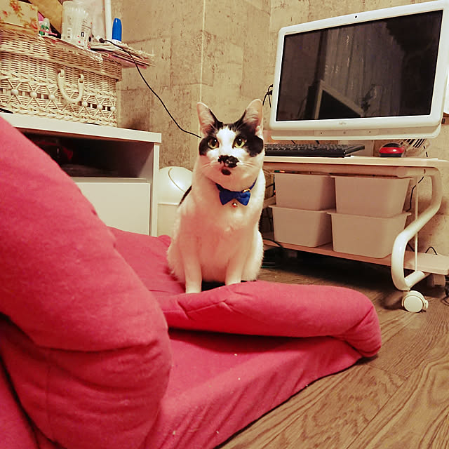 asuminさんの実例写真