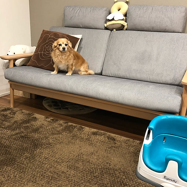 cocomaruさんの実例写真
