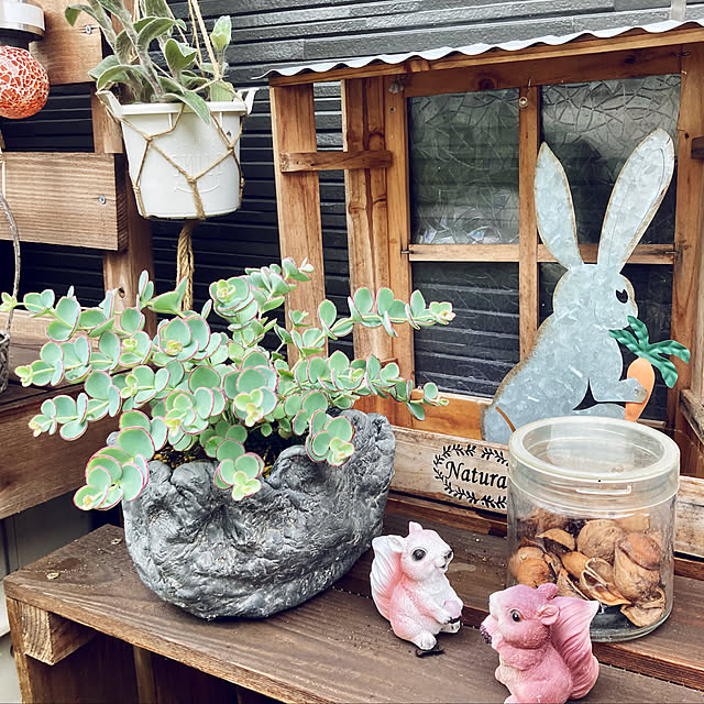 CoCo0617さんの実例写真