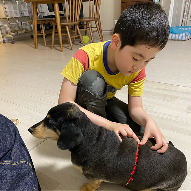 ohanaさんの実例写真
