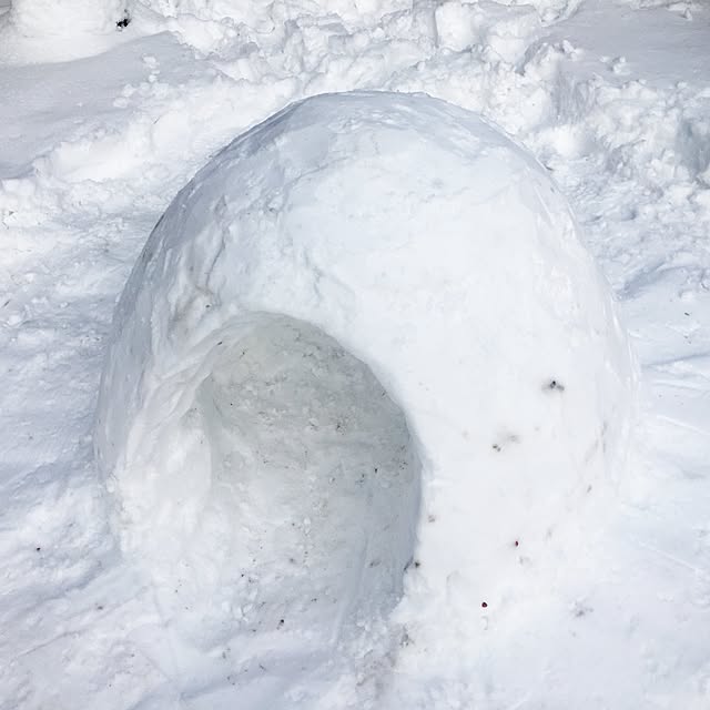 GHIBLIさんの実例写真