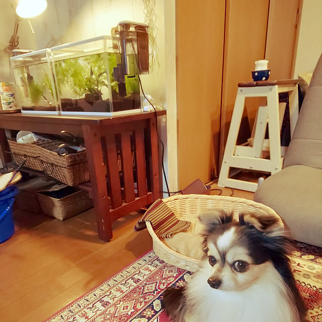 mizuさんの実例写真