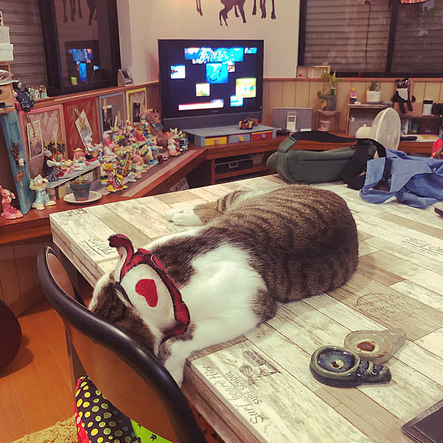 jijiさんの実例写真