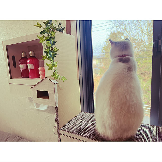 POMERUNさんの実例写真