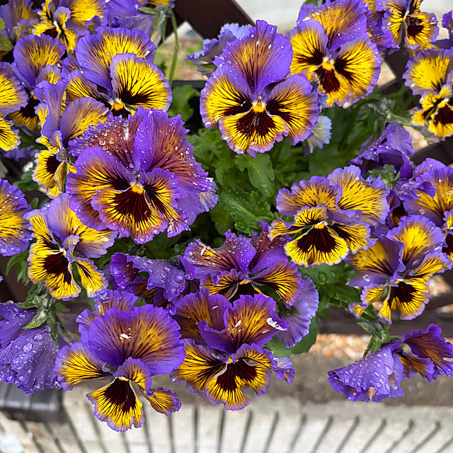 ritsukoさんの部屋