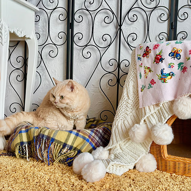 naokoさんの部屋