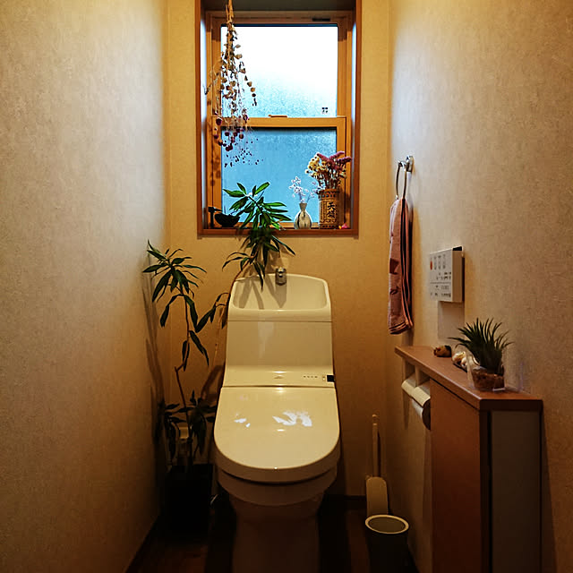 kotaroさんの実例写真