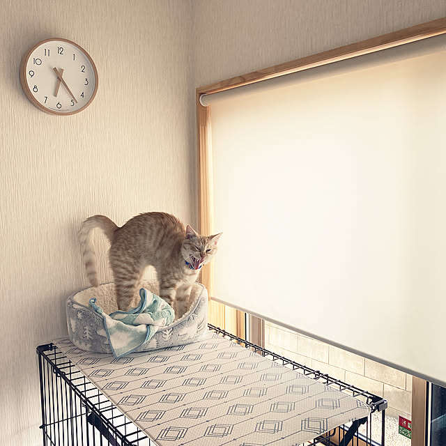 m.k.mさんの実例写真