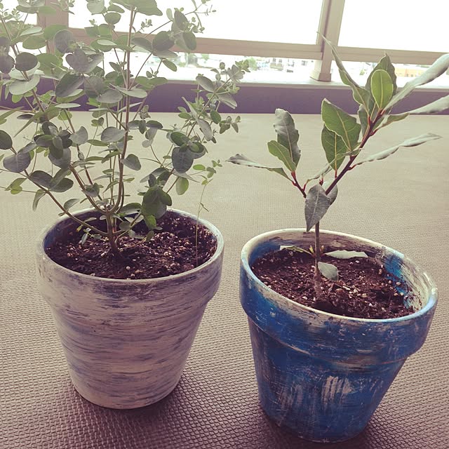 tarocoffeeさんの実例写真